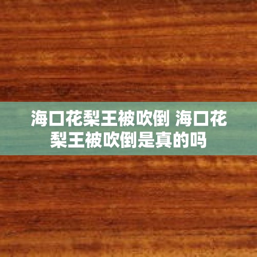 约大牌 | 国际足联主席因凡蒂诺：期待将中国足球带到世界顶尖水平 - 今日头条