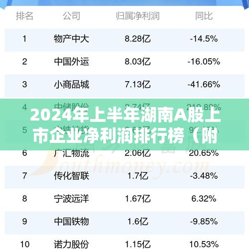 2024年上半年湖南A股上市企业净利润排行榜（附热榜TOP100详单）