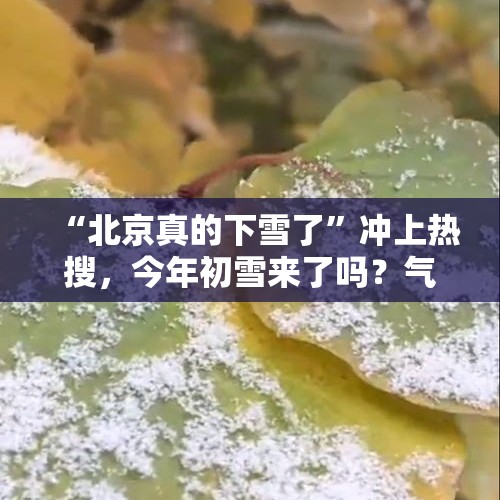 “北京真的下雪了”冲上热搜，今年初雪来了吗？气象部门回应