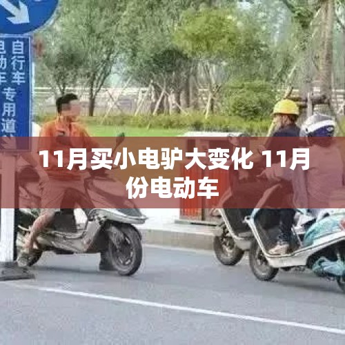 11月买小电驴大变化 11月份电动车