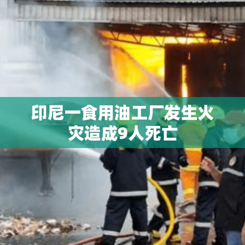 印尼一食用油工厂发生火灾造成9人死亡