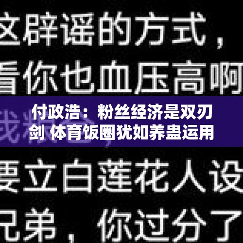 付政浩：粉丝经济是双刃剑 体育饭圈犹如养蛊运用不当会立时反噬 - 今日头条