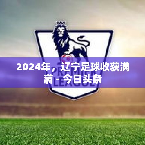 2024年，辽宁足球收获满满 - 今日头条