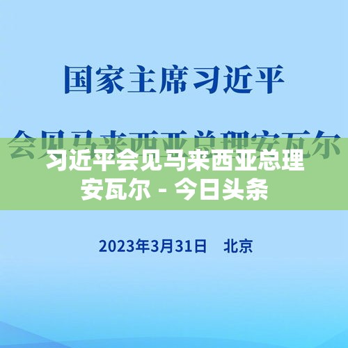 习近平会见马来西亚总理安瓦尔 - 今日头条