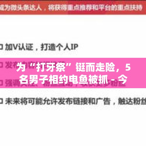 为“打牙祭”铤而走险，5名男子相约电鱼被抓 - 今日头条