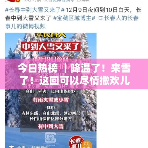 今日热榜 ｜降温了！来雪了！这回可以尽情撒欢儿了！ - 今日头条