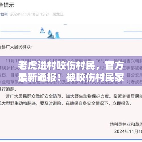 老虎进村咬伤村民，官方最新通报！被咬伤村民家属：左手不一定能保住 - 今日头条