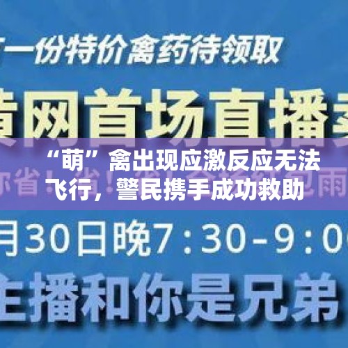 “萌”禽出现应激反应无法飞行，警民携手成功救助 - 今日头条