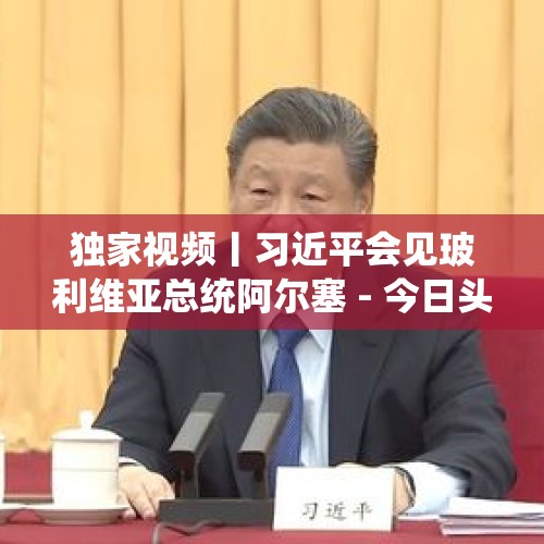 独家视频丨习近平会见玻利维亚总统阿尔塞 - 今日头条