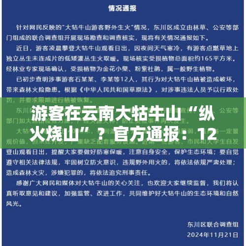 游客在云南大牯牛山“纵火烧山”？官方通报：12人被处罚 - 今日头条