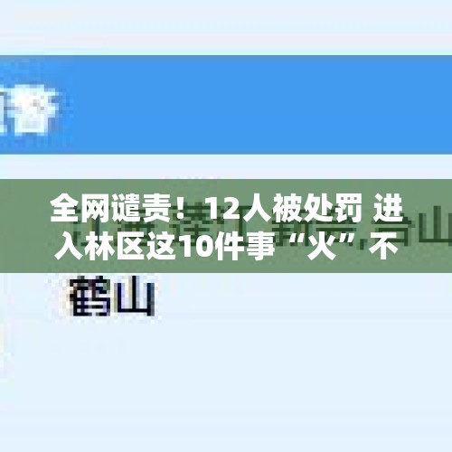 全网谴责！12人被处罚 进入林区这10件事“火”不得 - 今日头条