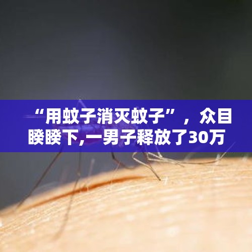 “用蚊子消灭蚊子”，众目睽睽下,一男子释放了30万只蚊子 - 今日头条