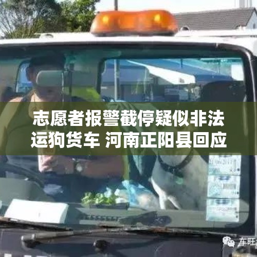 志愿者报警截停疑似非法运狗货车 河南正阳县回应：检疫没病，会依法处理 - 今日头条