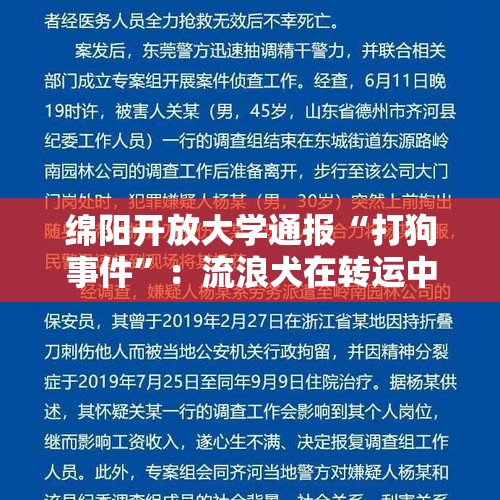 绵阳开放大学通报“打狗事件”：流浪犬在转运中反抗，安保人员解聘 - 今日头条