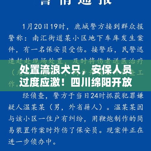 处置流浪犬只，安保人员过度应激！四川绵阳开放大学通报 - 今日头条