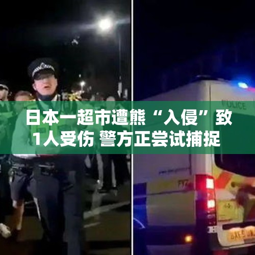 日本一超市遭熊“入侵”致1人受伤 警方正尝试捕捉 - 今日头条