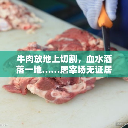 牛肉放地上切割，血水洒落一地……屠宰场无证居然偷着干，现场不堪入目！ - 今日头条