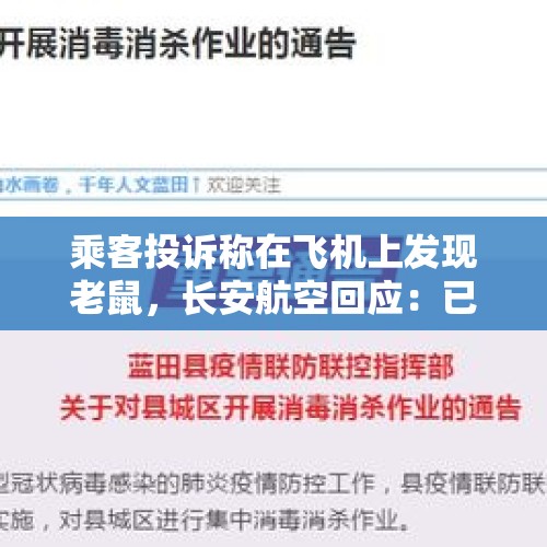 乘客投诉称在飞机上发现老鼠，长安航空回应：已做捕鼠、消杀处理 - 今日头条