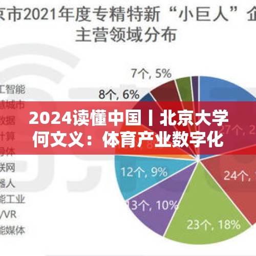 2024读懂中国丨北京大学何文义：体育产业数字化势在必行，以科技促进文体旅等产业融合 - 今日头条