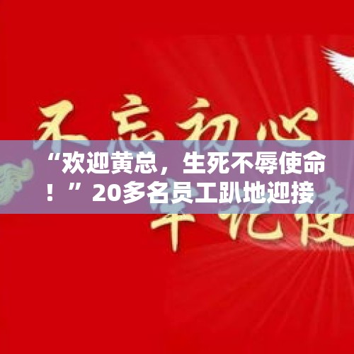 “欢迎黄总，生死不辱使命！”20多名员工趴地迎接领导？涉事公司否认，教育局调查中 - 今日头条