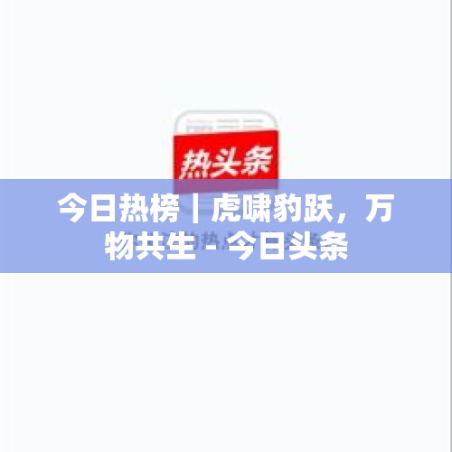 今日热榜｜虎啸豹跃，万物共生 - 今日头条