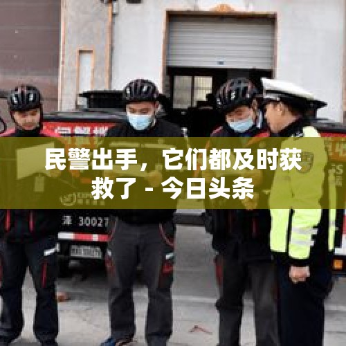 民警出手，它们都及时获救了 - 今日头条