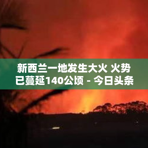 新西兰一地发生大火 火势已蔓延140公顷 - 今日头条