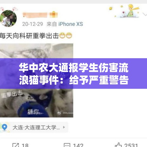 华中农大通报学生伤害流浪猫事件：给予严重警告处分 - 今日头条