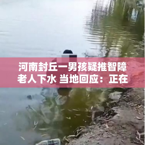 河南封丘一男孩疑推智障老人下水 当地回应：正在处理此事，已与老人、小孩家属沟通 - 今日头条