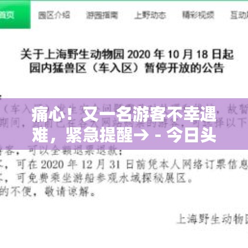 痛心！又一名游客不幸遇难，紧急提醒→ - 今日头条