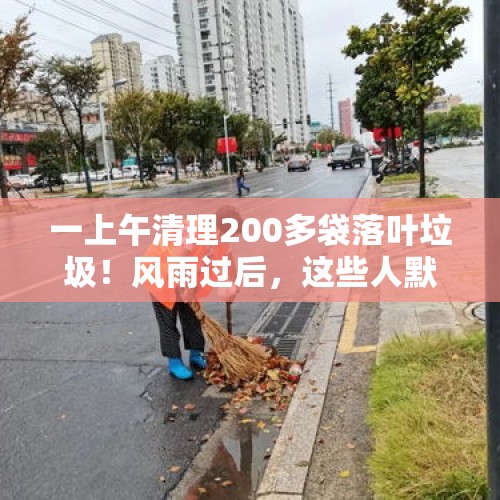 一上午清理200多袋落叶垃圾！风雨过后，这些人默默守护城市洁净…… - 今日头条