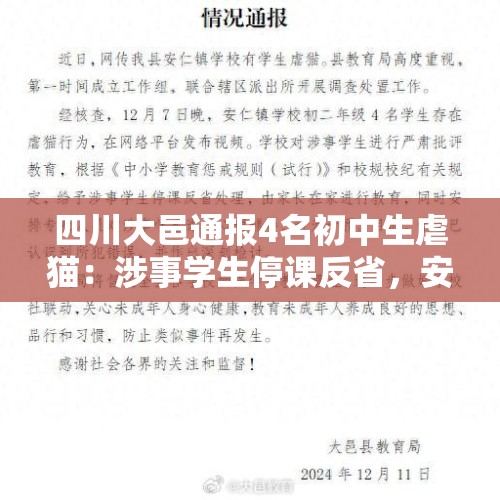 四川大邑通报4名初中生虐猫：涉事学生停课反省，安排心理辅导 - 今日头条