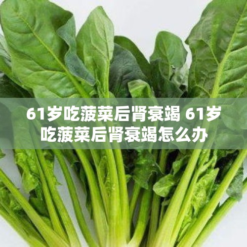 61岁吃菠菜后肾衰竭 61岁吃菠菜后肾衰竭怎么办