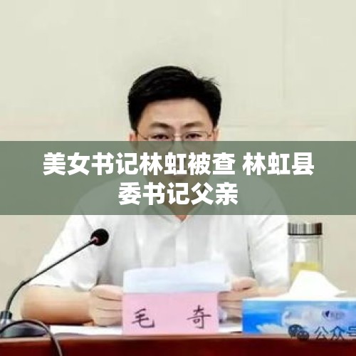 美女书记林虹被查 林虹县委书记父亲